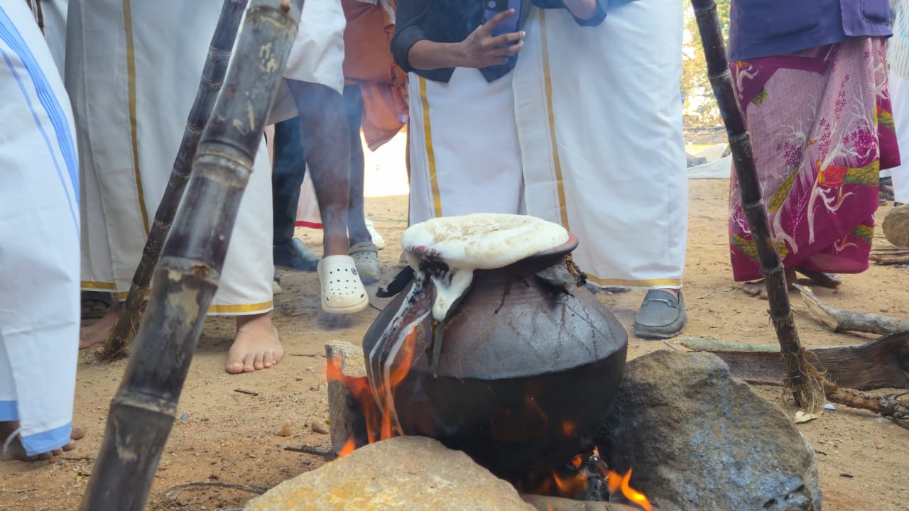 PONGAL CELEBRATION